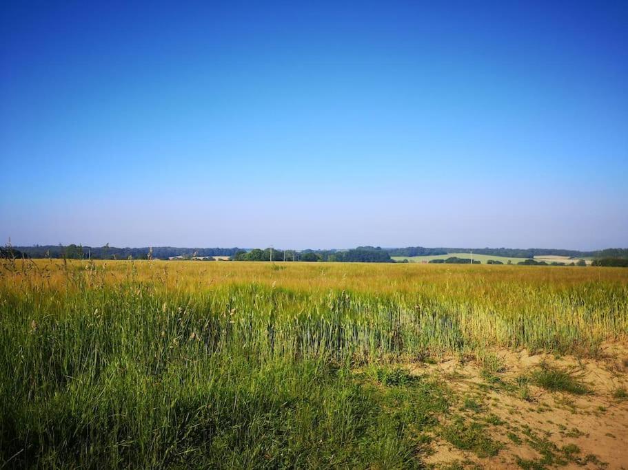 Heath Cottage Lower Southrepps North Norfolk クロマー エクステリア 写真