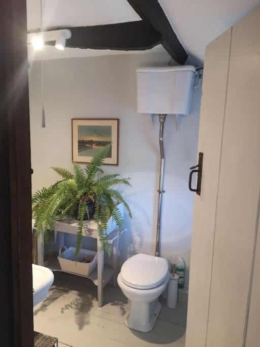 Heath Cottage Lower Southrepps North Norfolk クロマー エクステリア 写真
